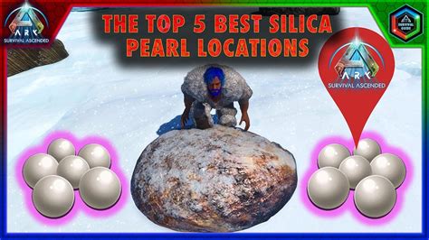 silica pearls ark ascended|ark survival ascended silica pearl locations.